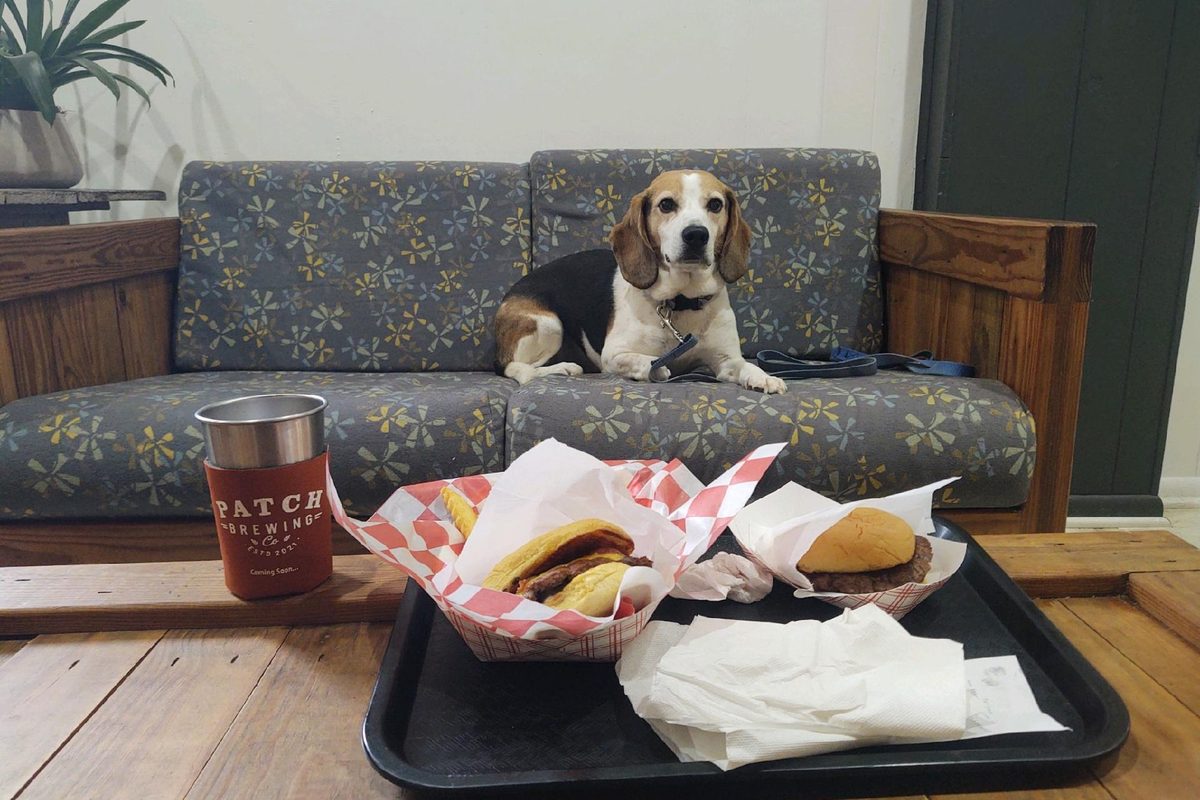 A beagle on a lounge couch behind a tray of two smash burgers and a Patch koozie on a steel cup